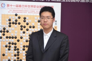 12年17个世界冠军直升九段 中国围棋呈井喷局面