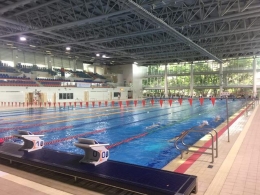 孙杨生涯第6次战世锦赛 香港潜心闭关全力备战
