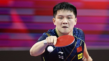 乒联排名樊振东陈梦第1 两人将成世乒赛头号种子
