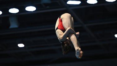跳水世界杯女子3米板陈艺文夺金昌雅妮摘银