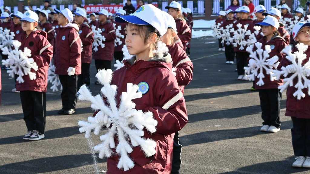 以“庆祝申冬成功”为主题 辽宁省全民冰雪运动会启幕