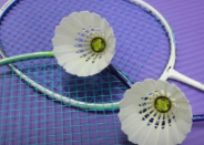中国羽毛球大师赛：国羽提前锁定女单冠军