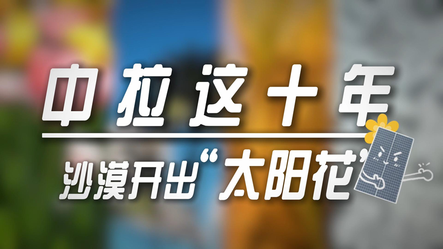 中拉这十年   沙漠开出“太阳花”