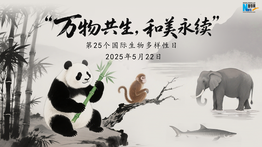 国际生物多样性日   公益AI视频：万物和美