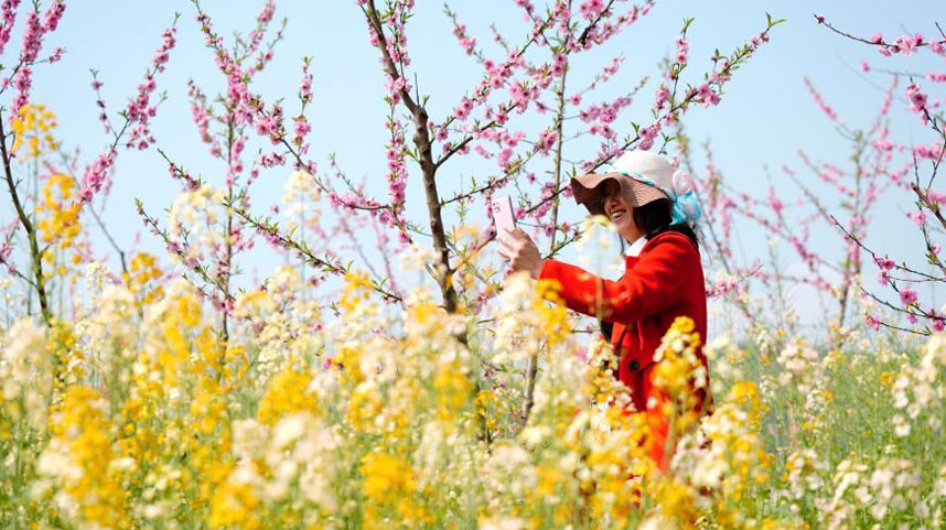 踏青赏花乐享春光