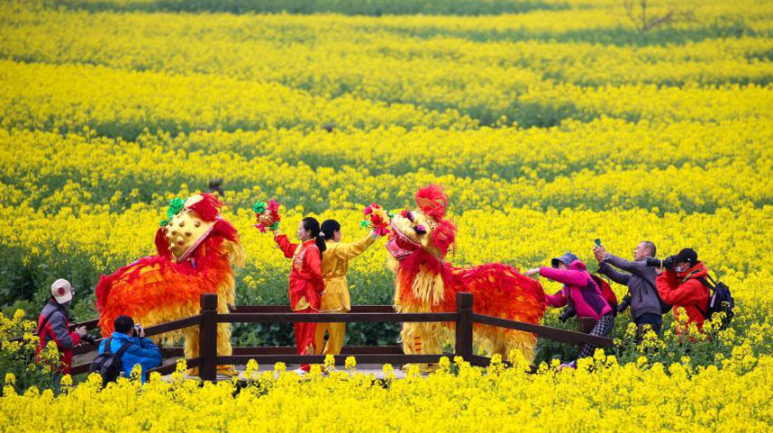 江苏兴化千垛菜花旅游节开幕