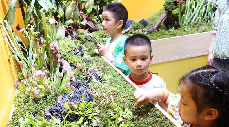 萌芽幼植园里观植物