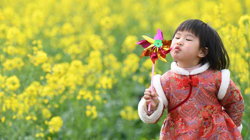 踏青赏花 乐享春光