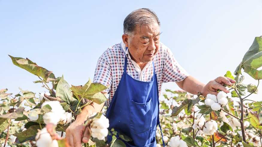 育种人的薪火相传