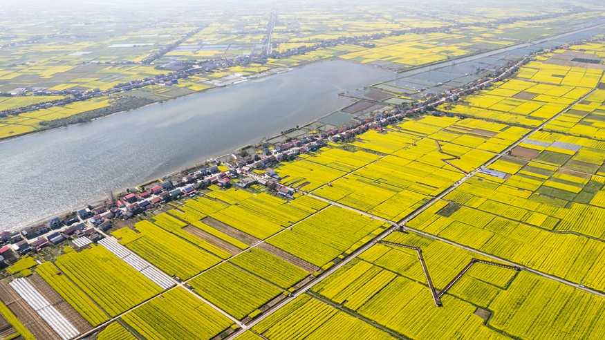 农文旅融合 油菜花开引客来