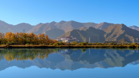 秀我中国丨寒露：秋寒初至，露凝菊香