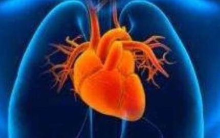 如何尽早发现心血管病变？建议做心脏影像