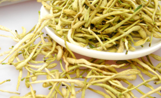 经常喝金银花茶有什么好处？可以清热降火