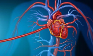 研究发现：“O”型血的人患心梗的风险低