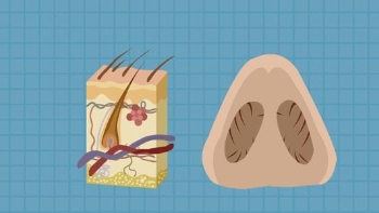 鼻毛突然变白是怎么回事 帮你分析了这4种原因