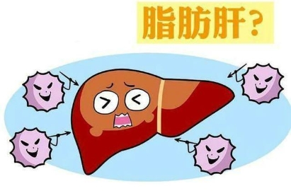 得了脂肪肝节食有用吗 脂肪肝防治的5大误区
