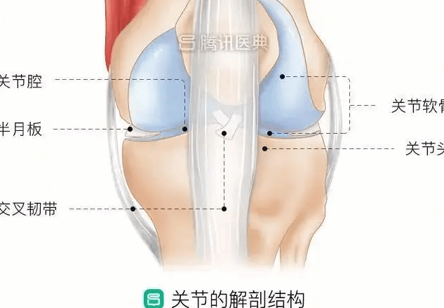 长期掰手指和从不掰的人 谁的“关节”更健康