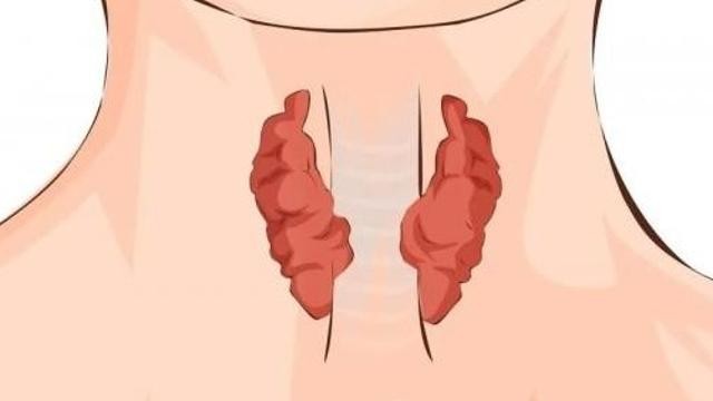 甲减怕冷甲亢怕热 比周围人“怕冷”查查甲状腺