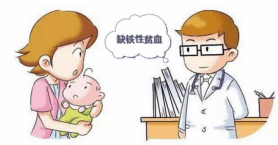 缺铁性贫血很常见 这些不良的习惯容易导致