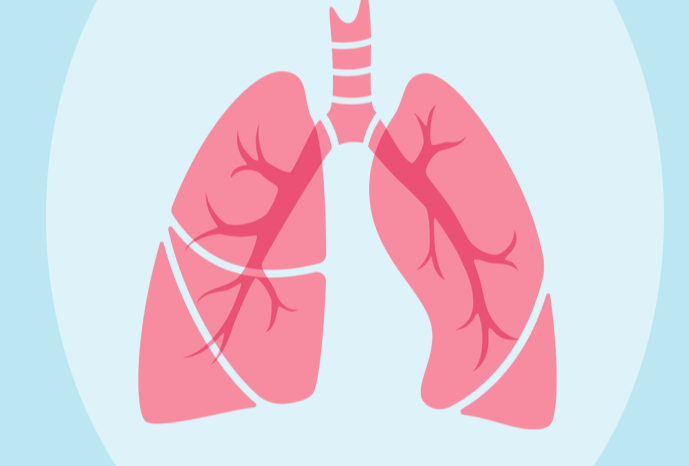 肺为“人之气本” 护肺做好五件事（中医养生）