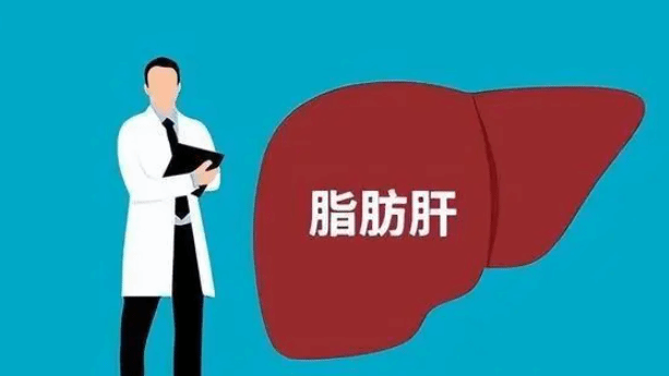 什么是脂肪肝？脂肪肝是心脑血管病的早期预警