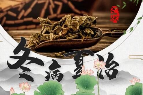 冬病夏治！赶在三伏天的末班车 益气扶阳