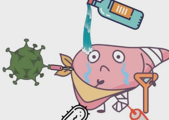 警惕！慢性肝炎正在危害健康 有哪些治疗方法