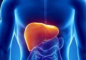 脂肪肝是亚健康引起的吗？3类人警惕脂肪肝