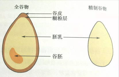 全谷物也要“挑”着吃！这样做身体最买账