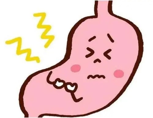 胃不好不宜吃哪些食物？赶紧安排这4种养胃茶