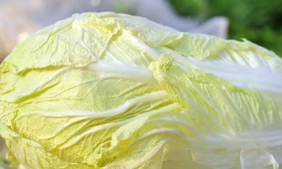 食用蔬菜来改善身体疾病 看看这些蔬菜的神奇之处