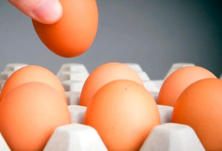 每天吃一个鸡蛋的人 两种慢病风险都降低了