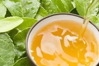 春季喝茶应注意的方面