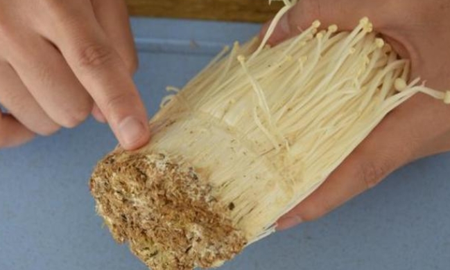 黄色金针菇根部水洗变色还能吃吗？看看专家怎么说