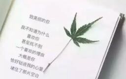 警惕考前焦虑导致注意力和记忆力下降