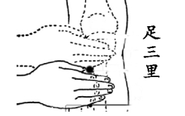 中医里常见的6大穴位有哪些 经常按摩能养生