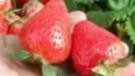 膨大素、增甜剂、农药残留…草莓是“最脏”水果吗