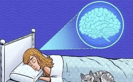 欠下的睡眠债可以补上吗？怎么避免产生睡眠债