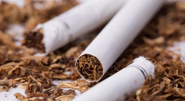 坐一天等于抽一包烟？专家：千万别疏忽