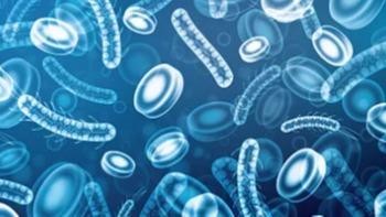 微生物穿“马甲”可更好治疗胃肠道疾病
