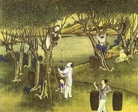 晚唐最现实的一首诗 写出了数千年的社会真相-凯风网