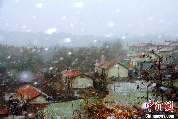 资料图：雪花纷纷扬扬飘落。 杨洪霞 摄