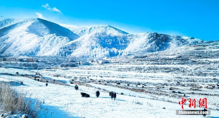 资料图：初冬时节，兰州市榆中县马坡乡迎来降雪，一场冬雪过后，村庄田野沐浴在雪景中，蓝天白雪下，似童话世界。张学江 摄