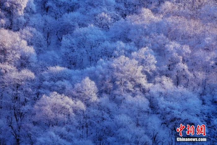 资料图：图为甘肃平凉关山雪景。李靖 摄
