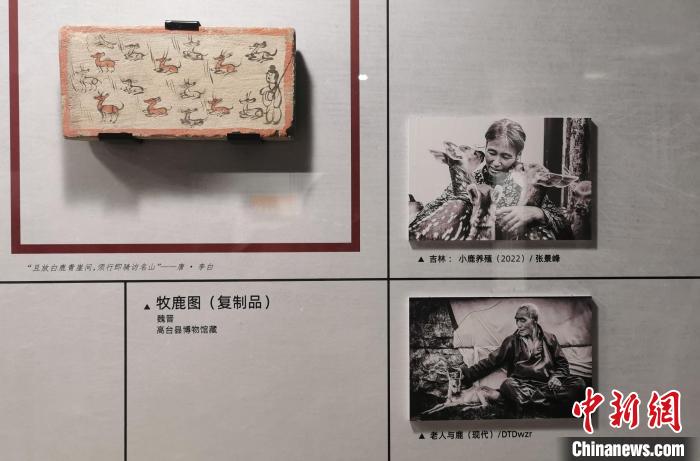 “我们”的生活记录——古代画像砖与现代摄影作品展开展。　汉景帝阳陵博物院供图