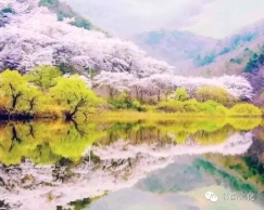 林徽因：心灵可以栽种一株菩提 四季常青