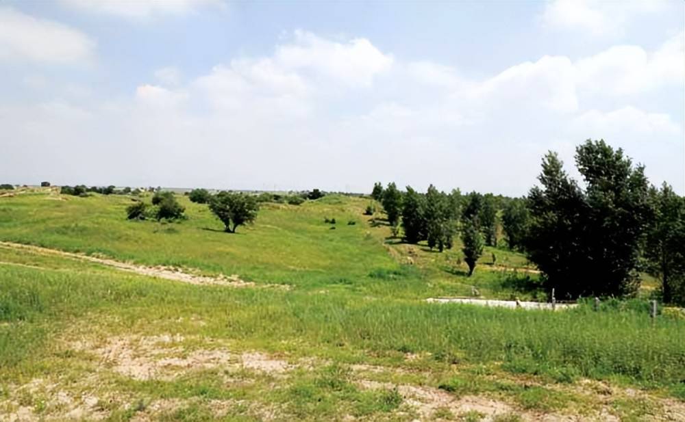 古代粮食总不够吃 土地那么多 为什么不开垦荒地