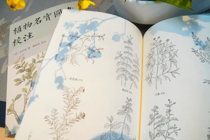 《植物名实图考校注》内页。图片来源:中华书局供图 《植物名实图考校注》内页。图片来源:中华书局供图