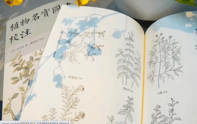 古代文人多少都要掌握些植物学知识！想不到吧
