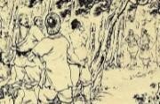 明朝人已使用椰瓢 《水浒传》一把椰瓢智取了生辰纲